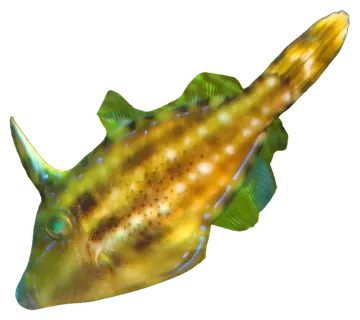 Yellowfin Leatherjacket, fotografiado sobre fondo transparente